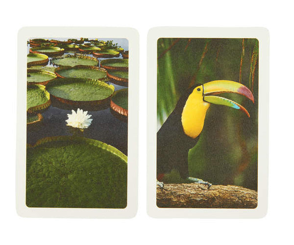 Copag Amazonas Playing Cards